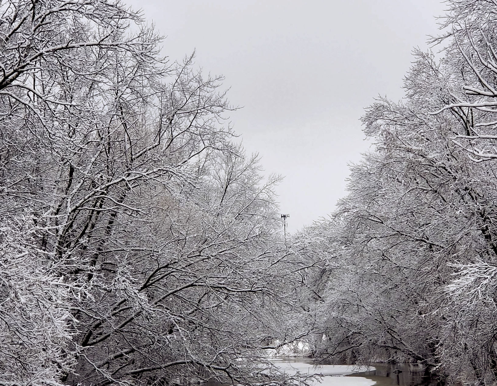 Snowy River